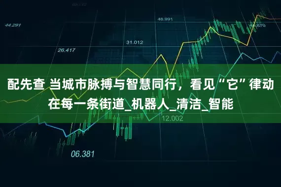 配先查 当城市脉搏与智慧同行，看见“它”律动在每一条街道_机器人_清洁_智能