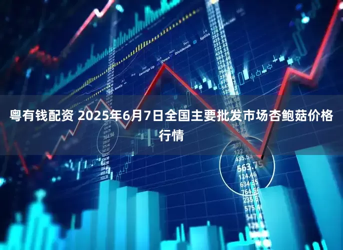 粤有钱配资 2025年6月7日全国主要批发市场杏鲍菇价格行情